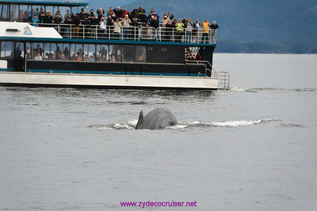 300: Carnival Miracle Alaska Cruise, Sitka, Jet Cat Wildlife Quest And Beach Exploration Excursion, 