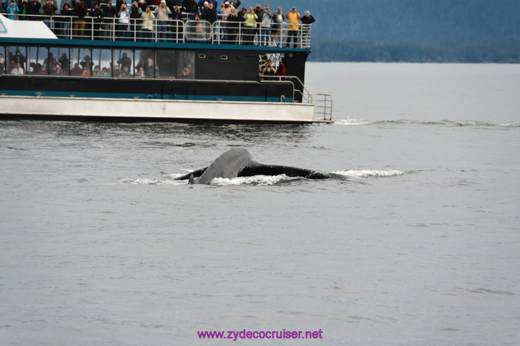 302: Carnival Miracle Alaska Cruise, Sitka, Jet Cat Wildlife Quest And Beach Exploration Excursion, 