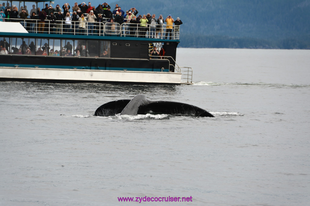 303: Carnival Miracle Alaska Cruise, Sitka, Jet Cat Wildlife Quest And Beach Exploration Excursion, 