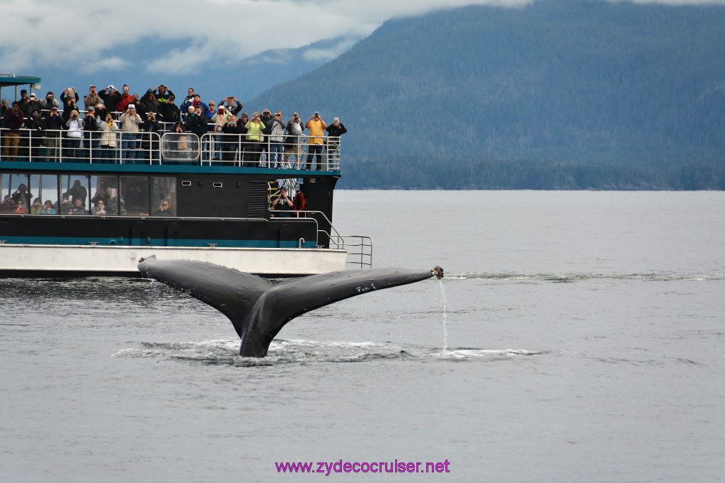 304: Carnival Miracle Alaska Cruise, Sitka, Jet Cat Wildlife Quest And Beach Exploration Excursion, 