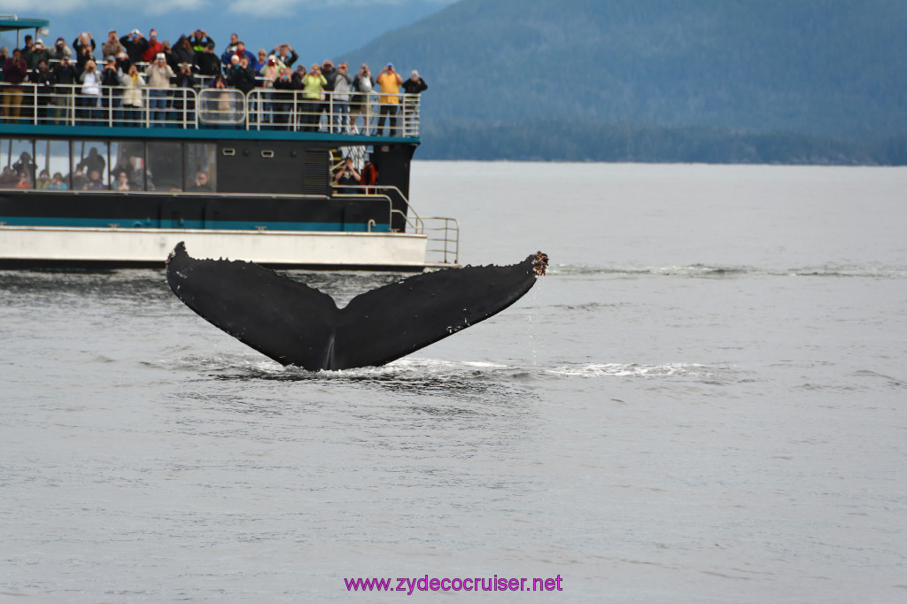 305: Carnival Miracle Alaska Cruise, Sitka, Jet Cat Wildlife Quest And Beach Exploration Excursion, 