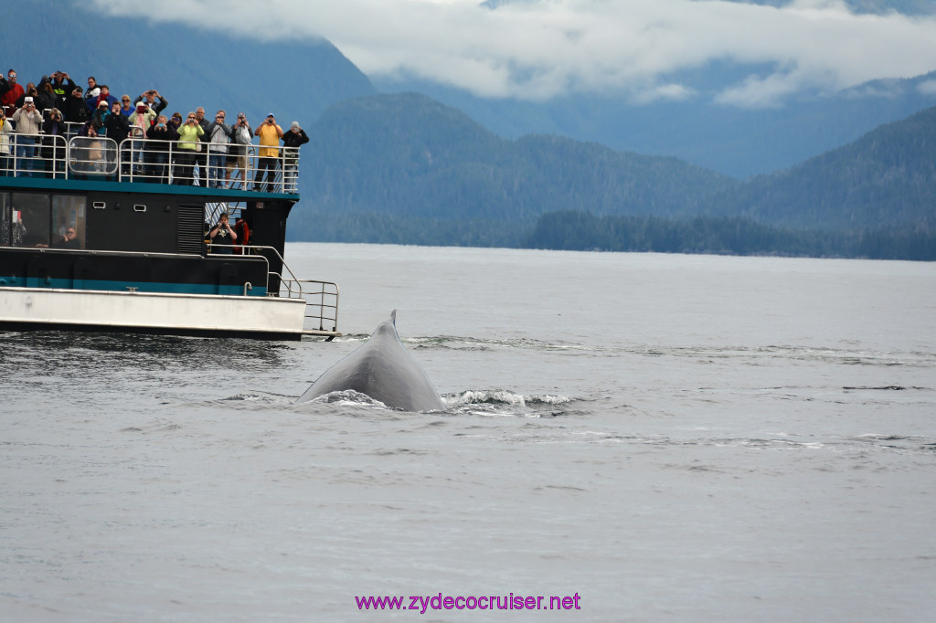 307: Carnival Miracle Alaska Cruise, Sitka, Jet Cat Wildlife Quest And Beach Exploration Excursion, 