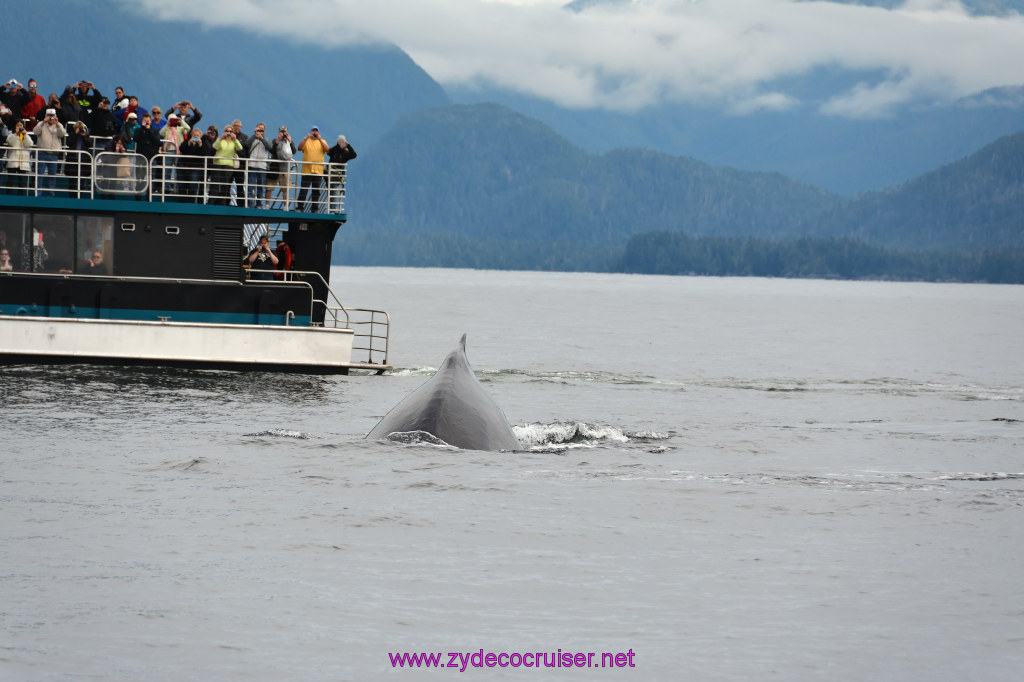 308: Carnival Miracle Alaska Cruise, Sitka, Jet Cat Wildlife Quest And Beach Exploration Excursion, 