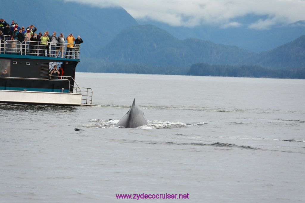 310: Carnival Miracle Alaska Cruise, Sitka, Jet Cat Wildlife Quest And Beach Exploration Excursion, 
