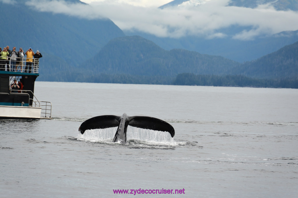 313: Carnival Miracle Alaska Cruise, Sitka, Jet Cat Wildlife Quest And Beach Exploration Excursion, 