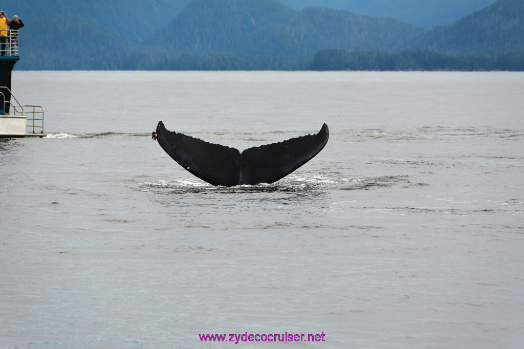 315: Carnival Miracle Alaska Cruise, Sitka, Jet Cat Wildlife Quest And Beach Exploration Excursion, 
