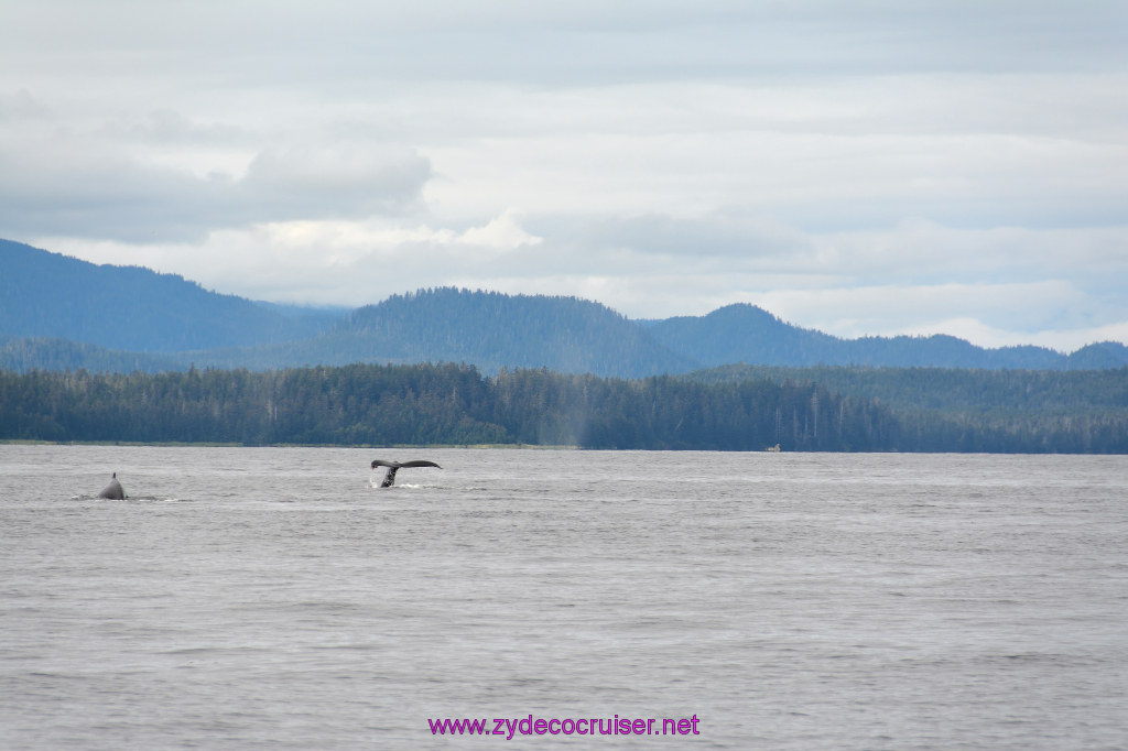 325: Carnival Miracle Alaska Cruise, Sitka, Jet Cat Wildlife Quest And Beach Exploration Excursion, 