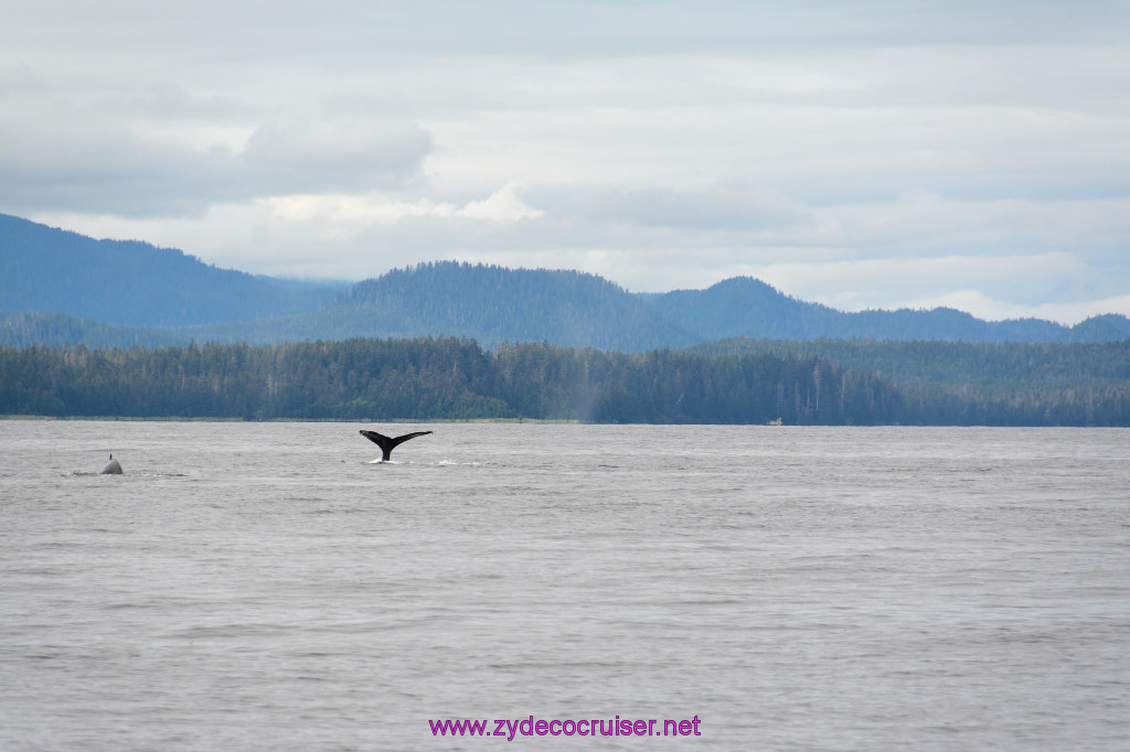 327: Carnival Miracle Alaska Cruise, Sitka, Jet Cat Wildlife Quest And Beach Exploration Excursion, 