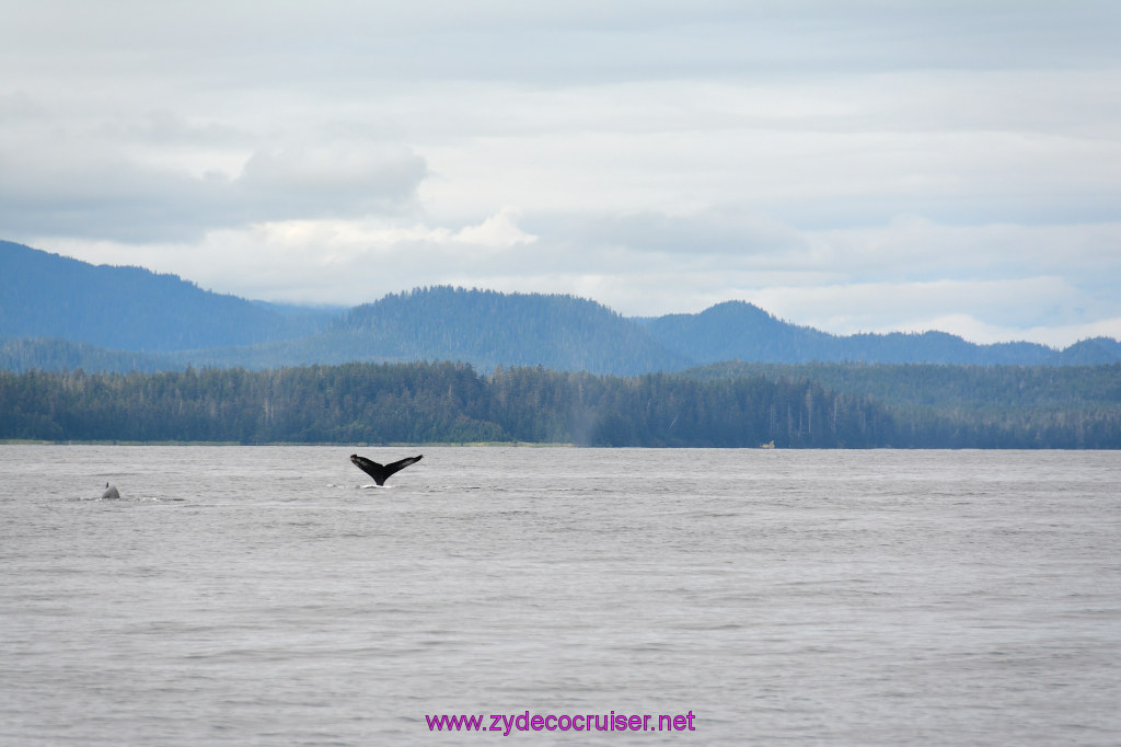 328: Carnival Miracle Alaska Cruise, Sitka, Jet Cat Wildlife Quest And Beach Exploration Excursion, 