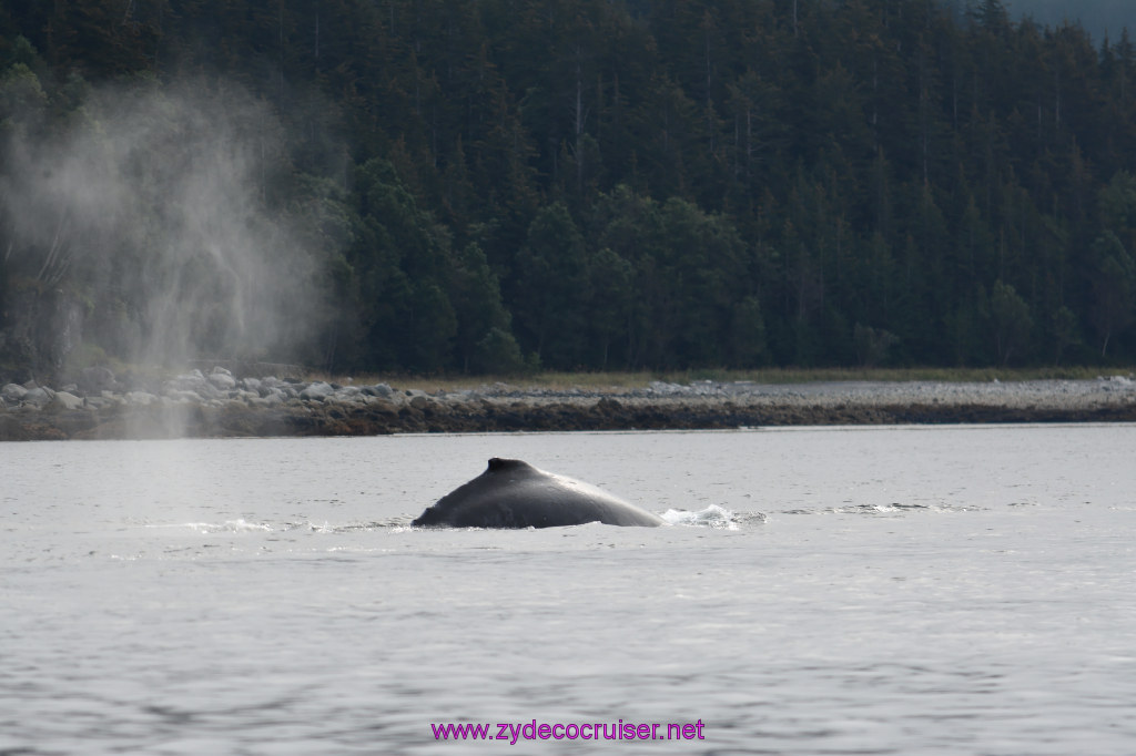 140: Carnival Miracle Alaska Cruise, Juneau, Harv and Marv's Whale Watching, 