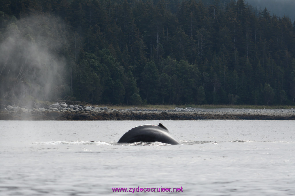 141: Carnival Miracle Alaska Cruise, Juneau, Harv and Marv's Whale Watching, 