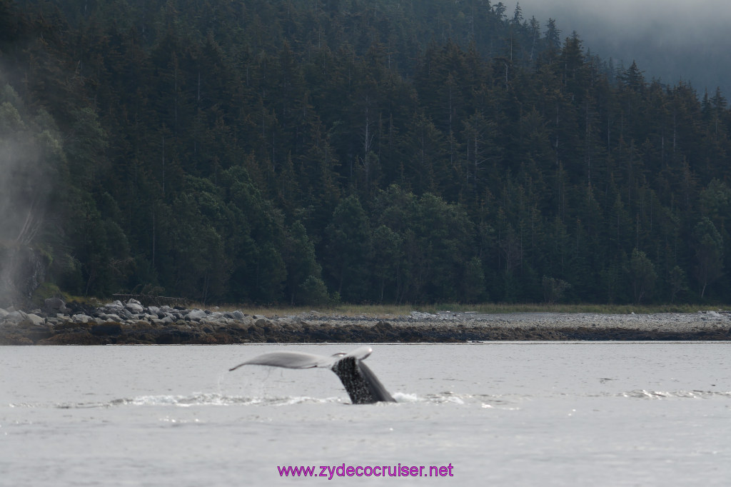 142: Carnival Miracle Alaska Cruise, Juneau, Harv and Marv's Whale Watching, 