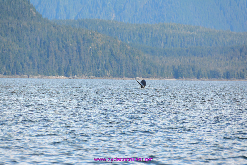 207: Carnival Miracle Alaska Cruise, Juneau, Harv and Marv's Whale Watching, 