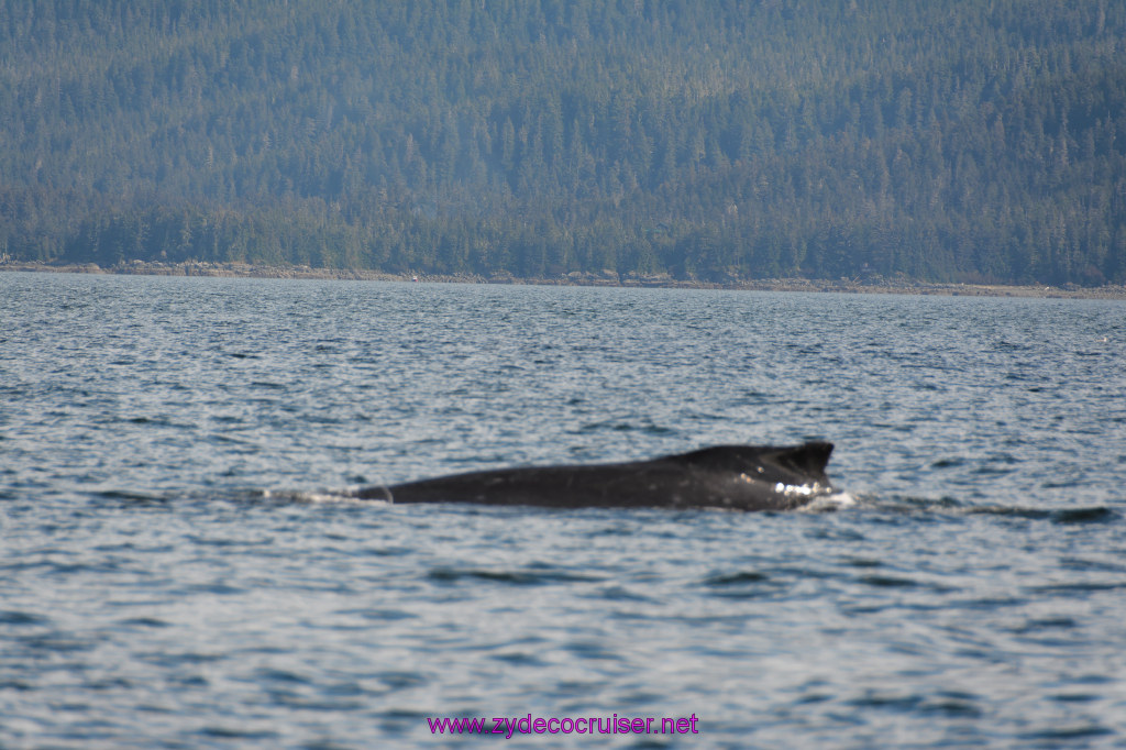 216: Carnival Miracle Alaska Cruise, Juneau, Harv and Marv's Whale Watching, 
