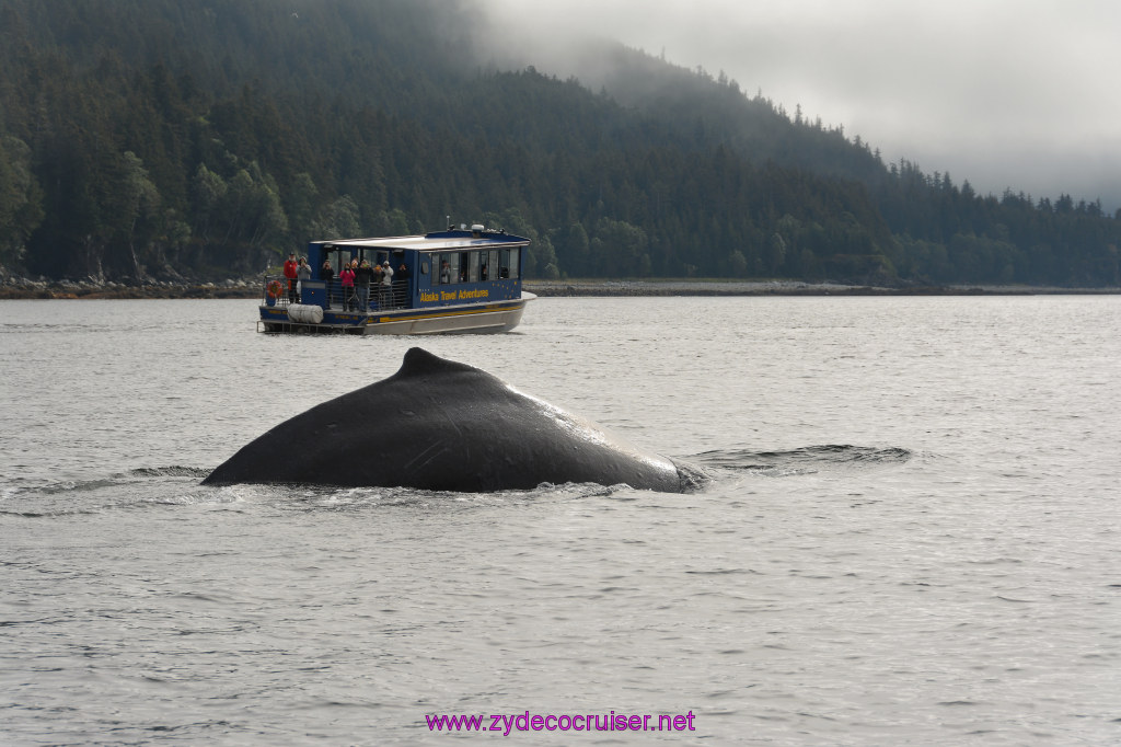 253: Carnival Miracle Alaska Cruise, Juneau, Harv and Marv's Whale Watching, 