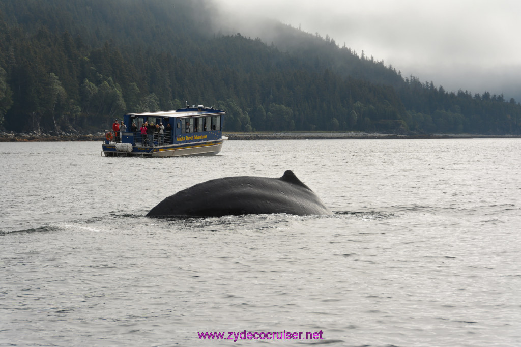 255: Carnival Miracle Alaska Cruise, Juneau, Harv and Marv's Whale Watching, 