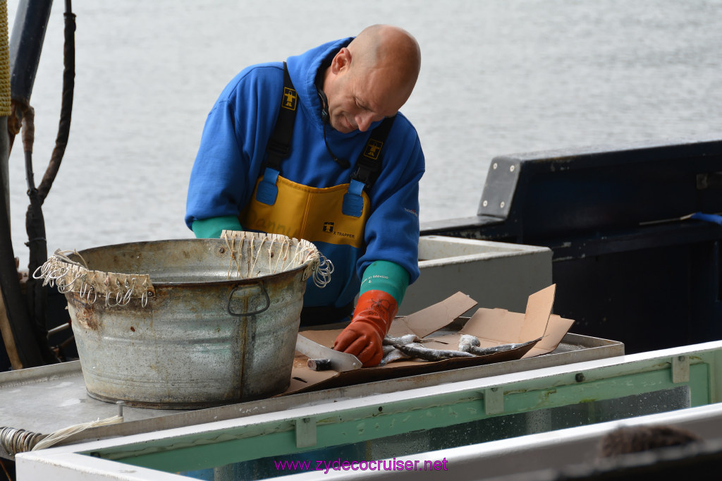 104: Carnival Miracle Alaska Cruise, Ketchikan, Bering Sea Crab Fisherman's Tour, 