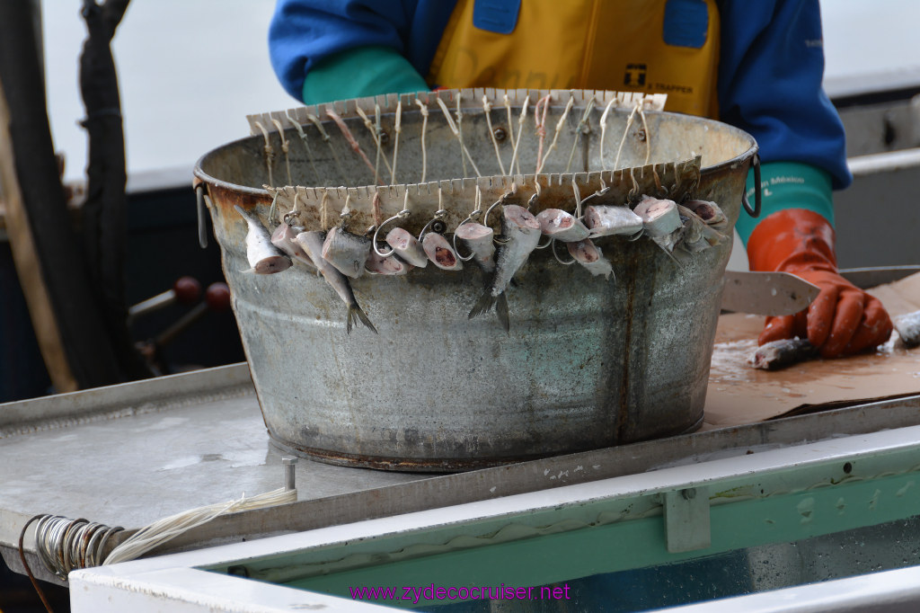 109: Carnival Miracle Alaska Cruise, Ketchikan, Bering Sea Crab Fisherman's Tour, 