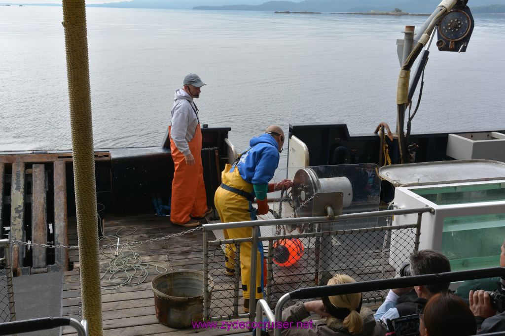 118: Carnival Miracle Alaska Cruise, Ketchikan, Bering Sea Crab Fisherman's Tour, 