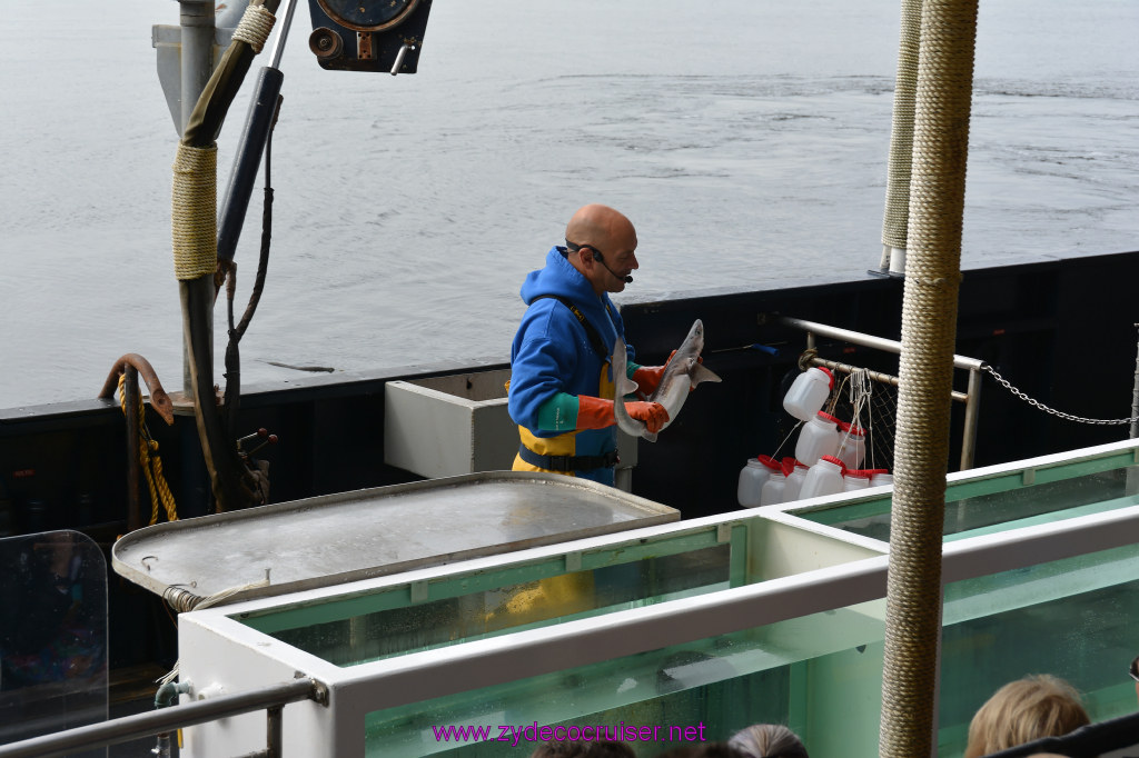 121: Carnival Miracle Alaska Cruise, Ketchikan, Bering Sea Crab Fisherman's Tour, 