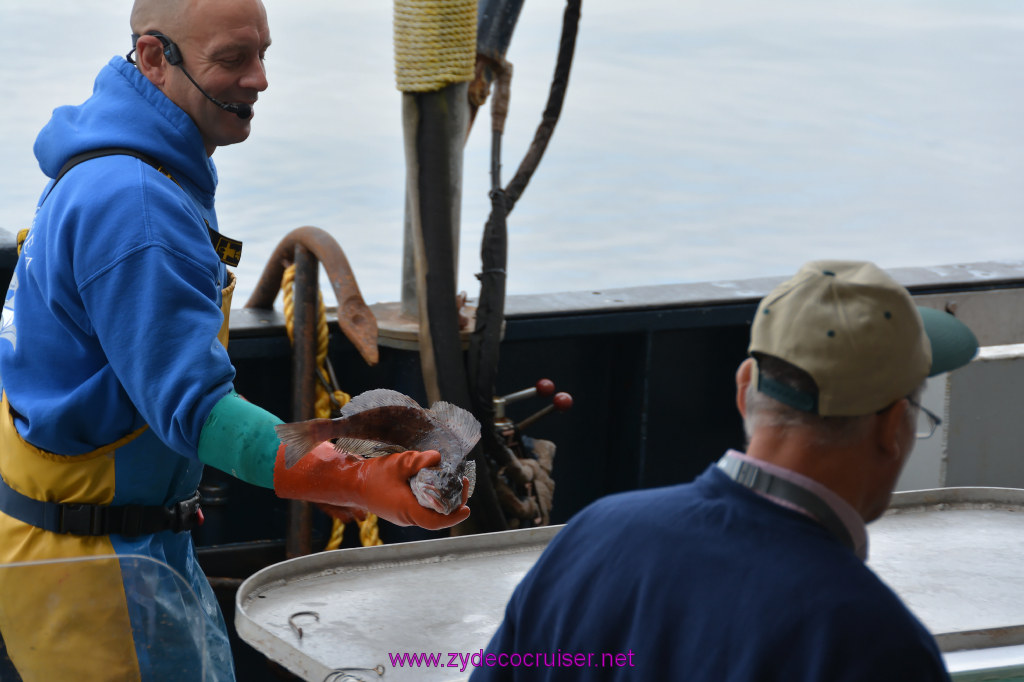 124: Carnival Miracle Alaska Cruise, Ketchikan, Bering Sea Crab Fisherman's Tour, 
