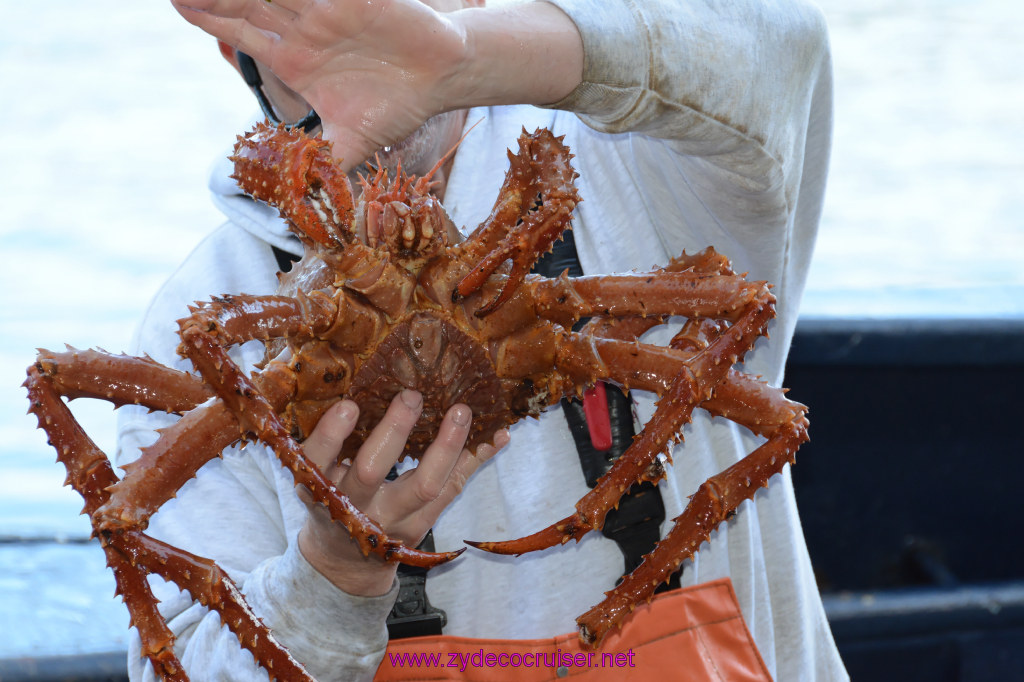 437: Carnival Miracle Alaska Cruise, Ketchikan, Bering Sea Crab Fisherman's Tour, 