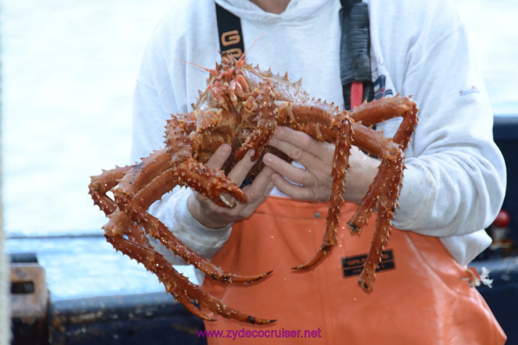 440: Carnival Miracle Alaska Cruise, Ketchikan, Bering Sea Crab Fisherman's Tour, 