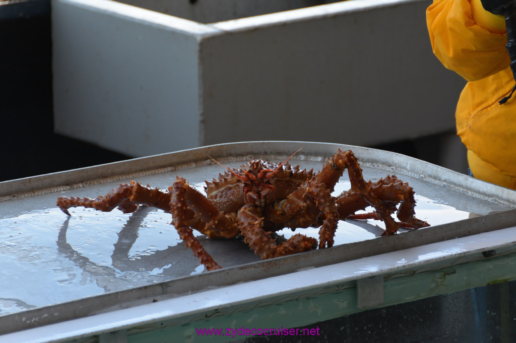 446: Carnival Miracle Alaska Cruise, Ketchikan, Bering Sea Crab Fisherman's Tour, 