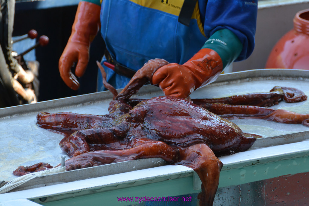 491: Carnival Miracle Alaska Cruise, Ketchikan, Bering Sea Crab Fisherman's Tour, 