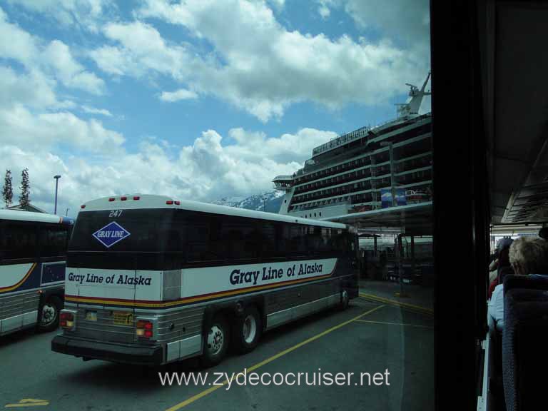 115: Carnival Spirit - on the bus for the Whale Quest tour
