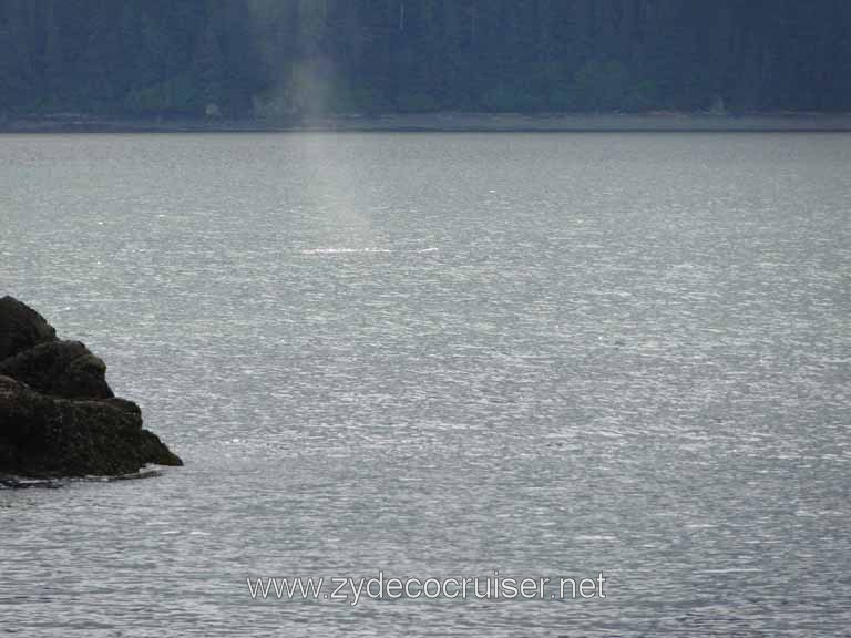 168: Carnival Spirit - Auke Bay - Whale Quest - Spouting Whale
