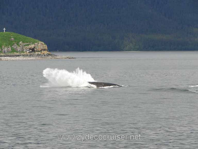 177: Carnival Spirit - Auke Bay - Whale Quest - Humpback Whale