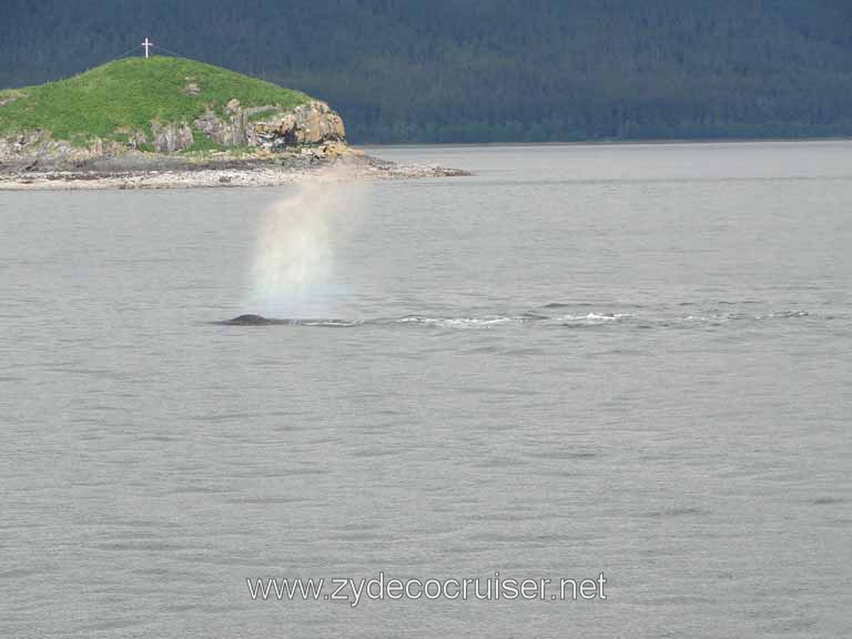 182: Carnival Spirit - Auke Bay - Whale Quest - Humpback Whale