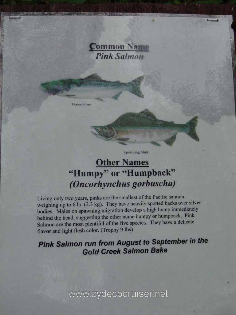 237: Carnival Spirit - Juneau - Gold Creek Salmon Bake