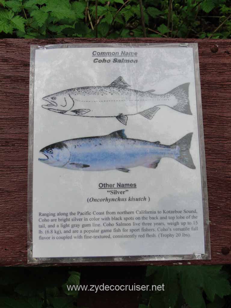 238: Carnival Spirit - Juneau - Gold Creek Salmon Bake