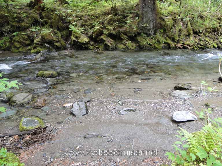 256: Carnival Spirit - Juneau - Gold Creek Salmon Bake