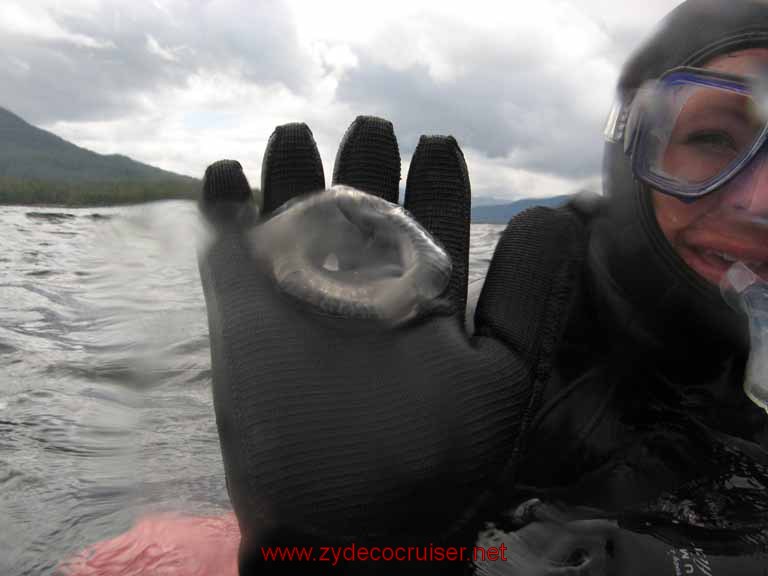 Ketchikan - Mountain Point Snorkel Trip - Jellyfish