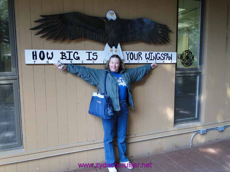 027: Sitka - Alaska Raptor Center - How Big Is Your Wingspan