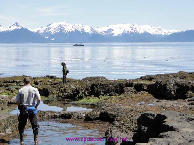 163: Sitka - Captain's Choice Wildlife Quest and Beach Exploration - Exploring tidal pools