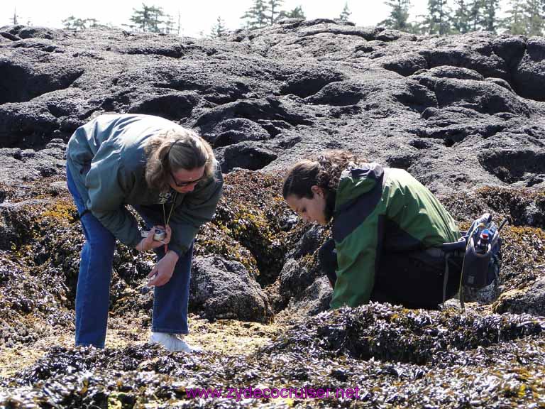 167: Sitka - Captain's Choice Wildlife Quest and Beach Exploration - exploring tide pools