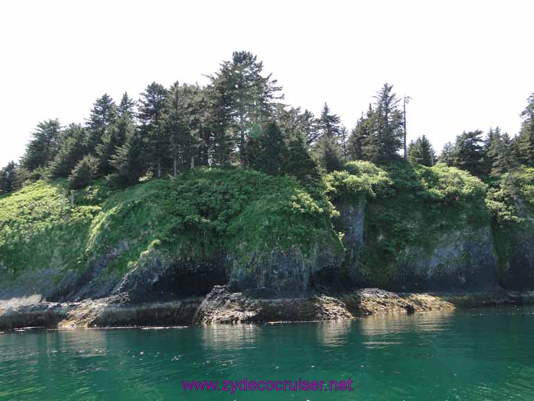 204: Sitka - Captain's Choice Wildlife Quest and Beach Exploration