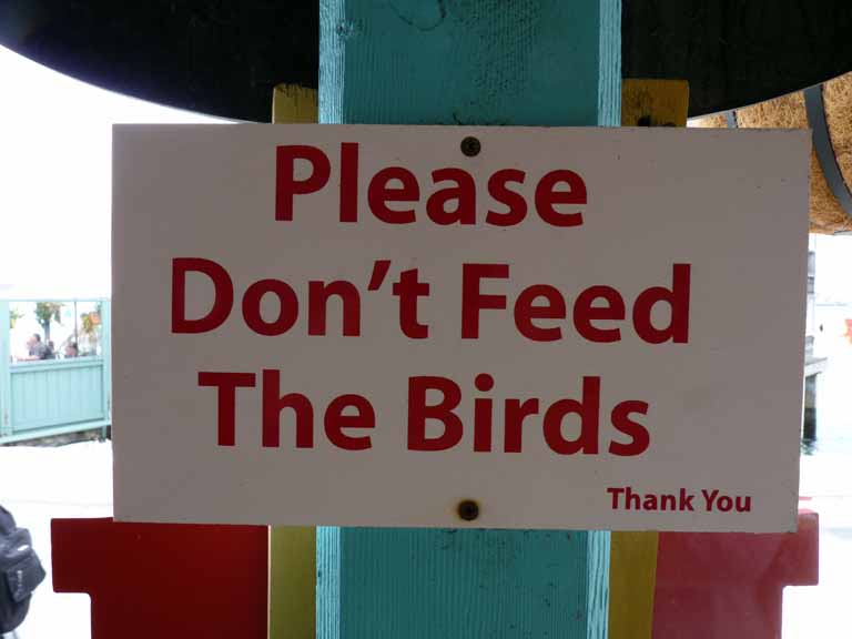 022: Carnival Spirit, San Diego/Ensenada - Please Don't Feed The Birds