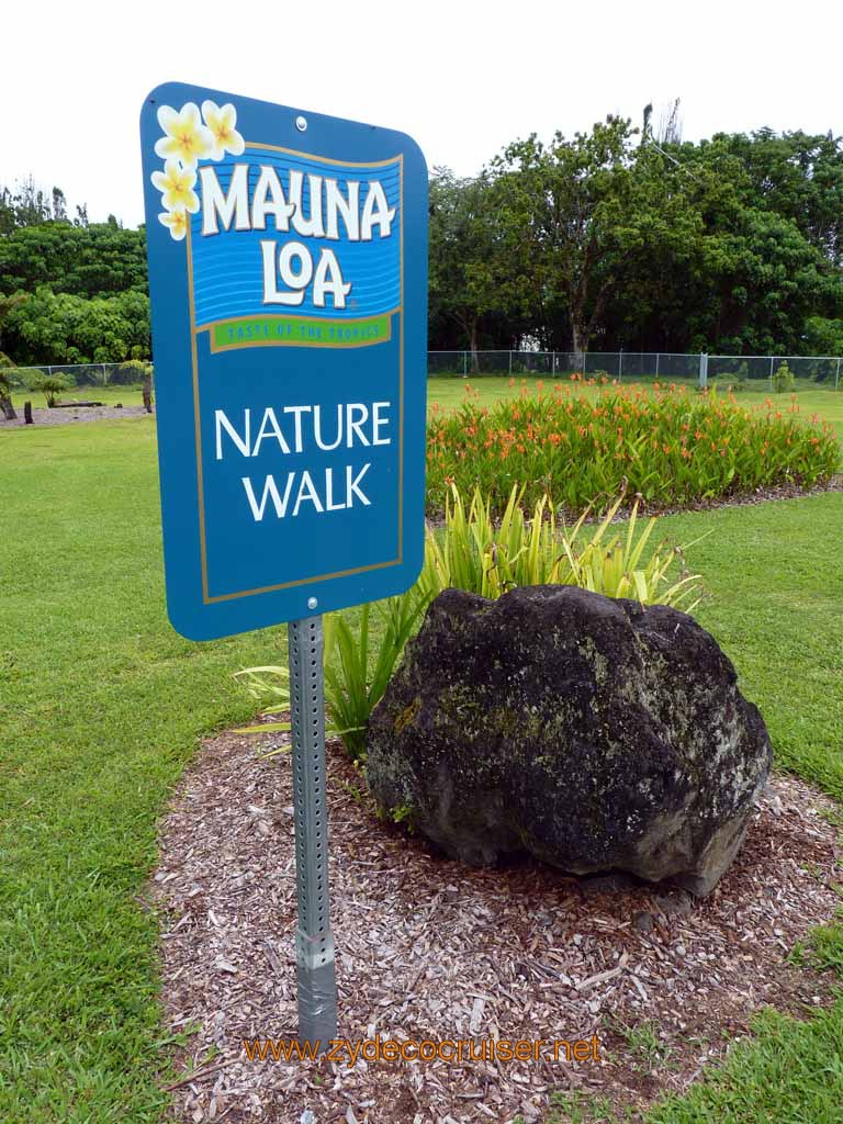 064: Carnival Spirit, Hilo, Hawaii, Mauna Loa Factory and Store, Nature Walk