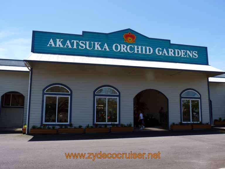 075: Carnival Spirit, Hilo, Hawaii, Akatsuka Orchid Gardens, http://www.akatsukaorchid.com/