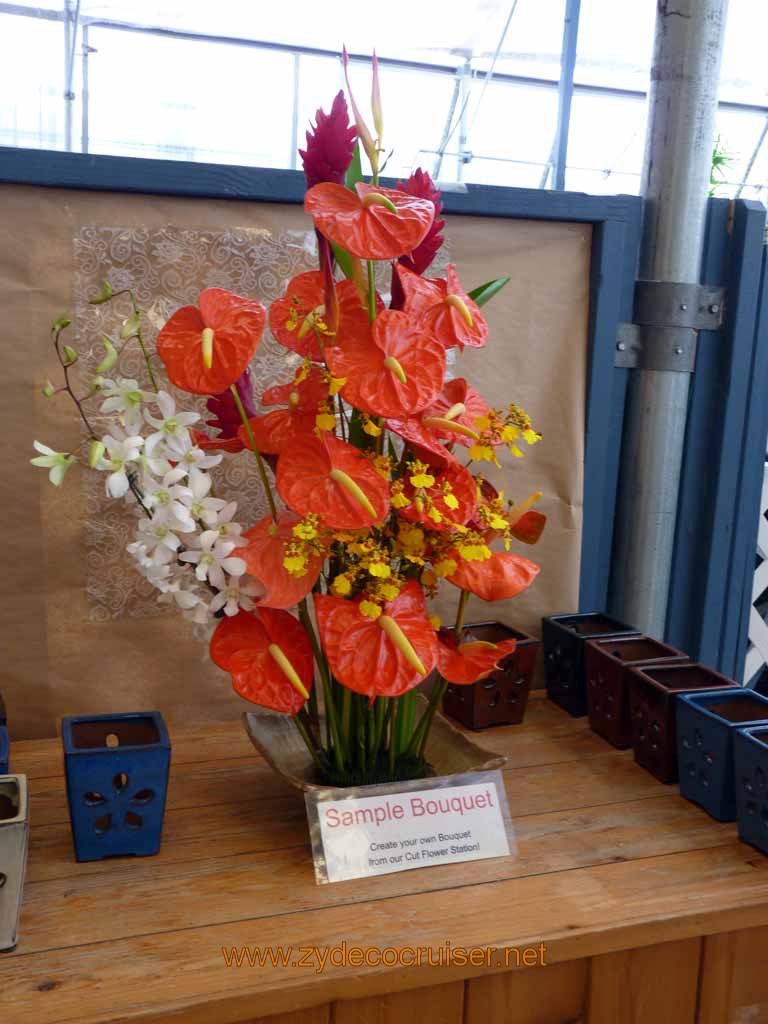 087: Carnival Spirit, Hilo, Hawaii, Hawaii, Akatsuka Orchid Gardens, Sample Bouquet