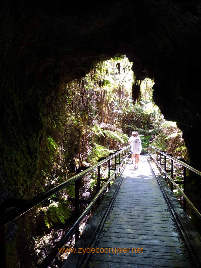 229: Carnival Spirit, Hilo, Hawaii, Hawaii (Hawai'i) Volcanoes National Park, Thurston Lava Tube