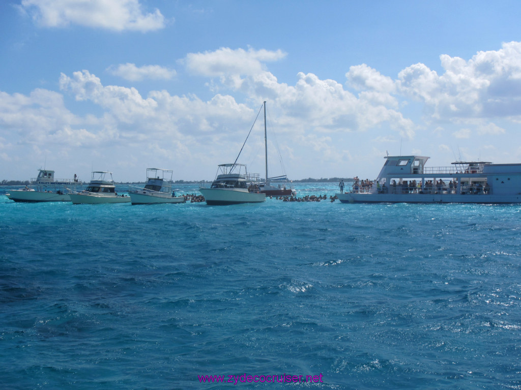 092: Carnival Sunshine Cruise, Nov 21, 2013, Grand Cayman, Sotos Cruises, Sting Ray Sandbar, 