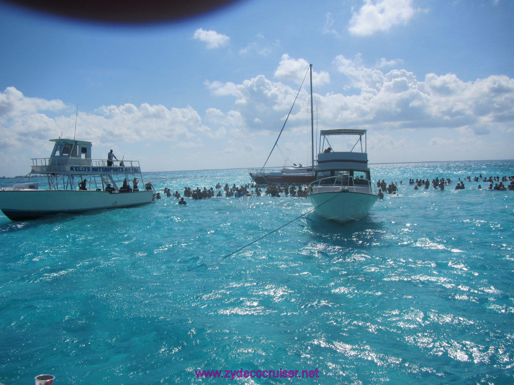 100: Carnival Sunshine Cruise, Nov 21, 2013, Grand Cayman, Sotos Cruises, Sting Ray Sandbar, 