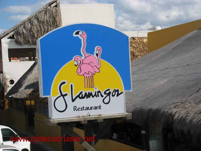 061: Carnival Fantasy, Progreso, MX, Double Decker Bus Tour, Flamingos