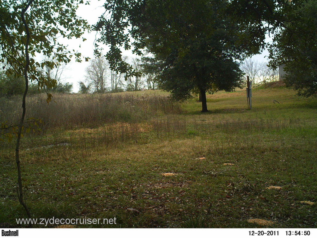 044: Christmas, 2011, Deer Friendly, Louisiana, 